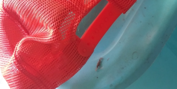 Vintage Cleveland Browns hat - Picture 2 of 9